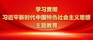 美女操逼视频网站学习贯彻习近平新时代中国特色社会主义思想主题教育_fororder_ad-371X160(2)